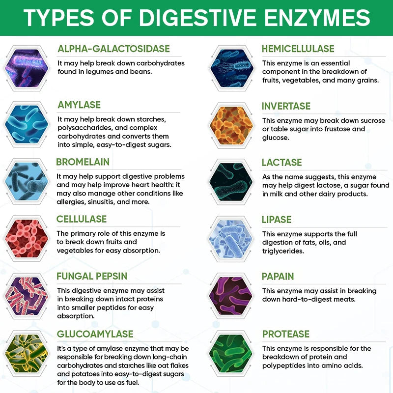Digestive Enzymes Capsules 1200mg - Premium Gut Health & Digestion Support